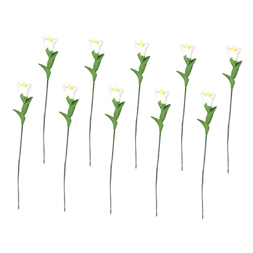 UKCOCO 10Stücke Blumenmodell Künstliche Lilien für Puppenhaus Dekoration für Wohnräume Gartenlandschaften und Kreative Szenen UKCOCO 10Stücke Blumenmodell Künstliche Lilien für Puppenhaus Dekoration für Wohnräume Gartenlandschaften und Kreative Szenen von UKCOCO