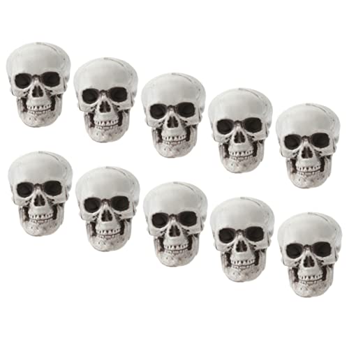 UKCOCO 10Stücke Realistische Halloween Schädel Totenköpfe für Spukhaus Dekoration Gruselige Requisiten für Partys und Halloween Events Wiederverwendbar und Langlebig UKCOCO 10Stücke Realistische Halloween Schädel Totenköpfe für Spukhaus Dekoration Gruselige Requisiten für Partys und Halloween Events Wiederverwendbar und Langlebig von UKCOCO