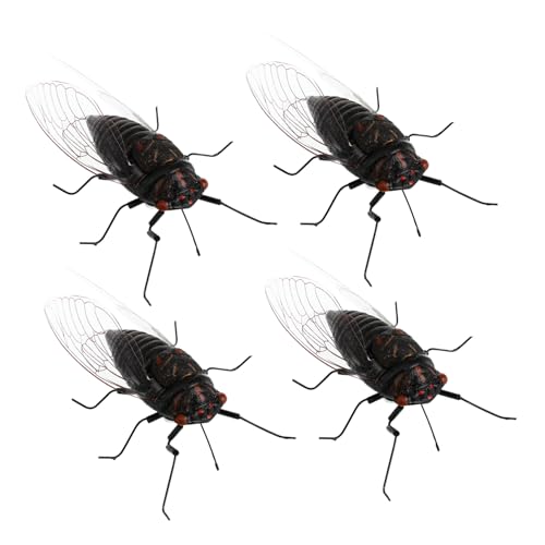 UKCOCO 4Stücke Simulation Zikaden Teiliges Lehrmodell für Mikrolandschaften und Dekoration Realistische Insektenfiguren für Sammler für Schreibtisch UKCOCO 4Stücke Simulation Zikaden Teiliges Lehrmodell für Mikrolandschaften und Dekoration Realistische Insektenfiguren für Sammler für Schreibtisch von UKCOCO