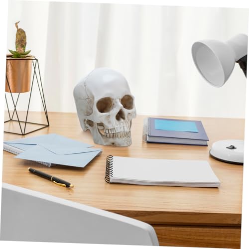 UKCOCO Anatomisches Skelett Modell für Medizinische Ausbildung Detailliertes Lehrmodell mit Abnehmbaren Kunstvoll Gestaltetes Deko Objekt für Studium und Ausstellung von UKCOCO