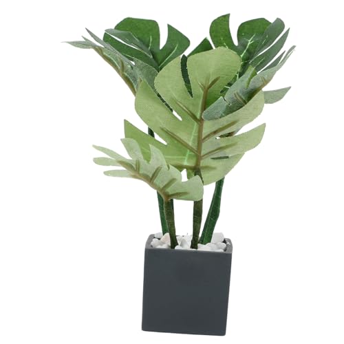 UKCOCO Bonsai Dekoration für Puppenhäuser Realistische Topfpflanze im Schwarzen Pflanztopf für Miniaturlandschaften und Kreative Szenerien Zubehör für Puppenhaus UKCOCO Bonsai Dekoration für Puppenhäuser Realistische Topfpflanze im Schwarzen Pflanztopf für Miniaturlandschaften und Kreative Szenerien Zubehör für Puppenhaus von UKCOCO