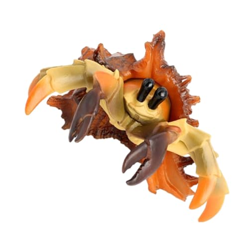 UKCOCO Kreatives Crab Modell Realistisches Pagurian Spielzeug Für Kinderzimmer Und Aquarien Robuste Attrappe Als Oder Dekoration Tierisches Lernspielzeug Für Mädchen Und Jungen von UKCOCO
