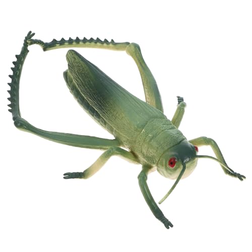 UKCOCO Heuschreckenverzierungen Mini-Tierfiguren Cricket-Streich Fehler für gefälschte Fehler gefälschte Cricket-Requisiten Ameisenmodell aus Kunststoff PVC Grün UKCOCO Heuschreckenverzierungen Mini-Tierfiguren Cricket-Streich Fehler für gefälschte Fehler gefälschte Cricket-Requisiten Ameisenmodell aus Kunststoff PVC Grün von UKCOCO