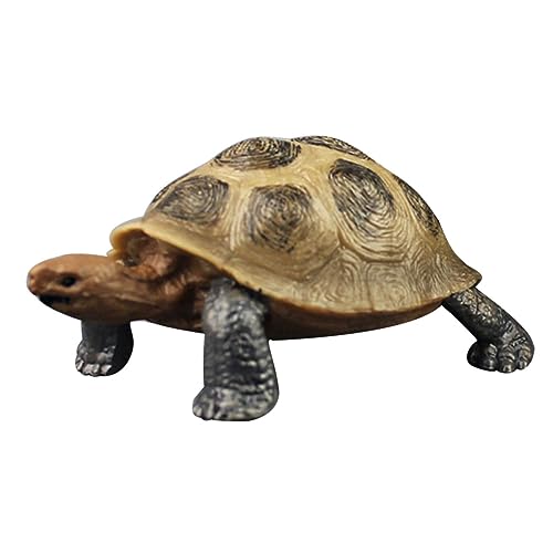 UKCOCO Landschildkrötenfigur aus Hochwertigem Kunststoff Detailgetreu für Schulprojekte und Themenpartys für Fördert über Tiere von UKCOCO