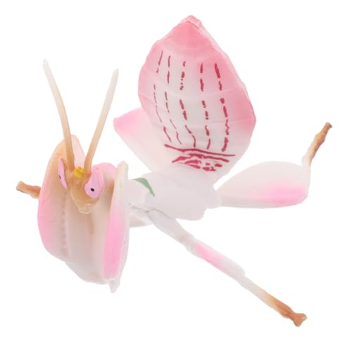 UKCOCO Mantidenmodell aus Kunststoff Detailgetreues Insektenspielzeug Langlebige Desktop Dekoration für Pädagogisches Tiermodell zur Wissenschaftserkundung von UKCOCO