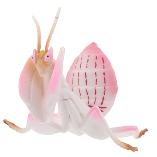 UKCOCO Mantis Figur Kunststoff Interaktives Lernspielzeug für Wissenschaftsbildung Tierverhalten Spielzimmern Zuhause UKCOCO Mantis Figur Kunststoff Interaktives Lernspielzeug für Wissenschaftsbildung Tierverhalten Spielzimmern Zuhause von UKCOCO