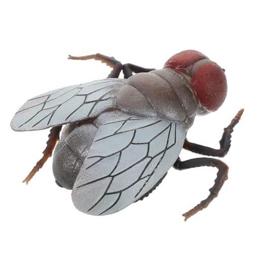 UKCOCO Realistisches Fliegenmodell für Kognitive Insektenspielzeuge aus Sicherem Material Prank für Halloween Dekorationen Schreibtisch und Raumdekor UKCOCO Realistisches Fliegenmodell für Kognitive Insektenspielzeuge aus Sicherem Material Prank für Halloween Dekorationen Schreibtisch und Raumdekor von UKCOCO
