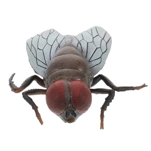 UKCOCO Realistisches Insektenspielzeug aus Sicherem Material Fliegenmodell für Streiche Dekoration und Kognitives Lernen für Aprilscherze UKCOCO Realistisches Insektenspielzeug aus Sicherem Material Fliegenmodell für Streiche Dekoration und Kognitives Lernen für Aprilscherze von UKCOCO