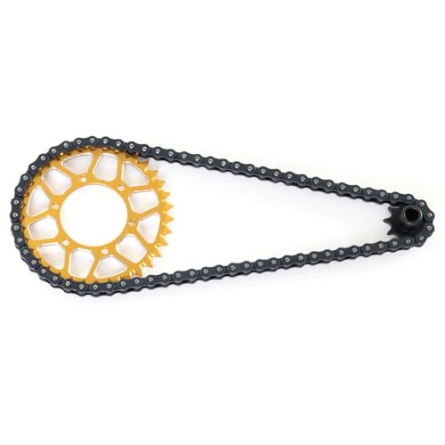 Metal Chain 10T 36T Transmission Gear Assembly RC Simulated Parts for LOSI 1/4 Promoto-MX RC Electric Motorcycle (Golden) von ULIIK