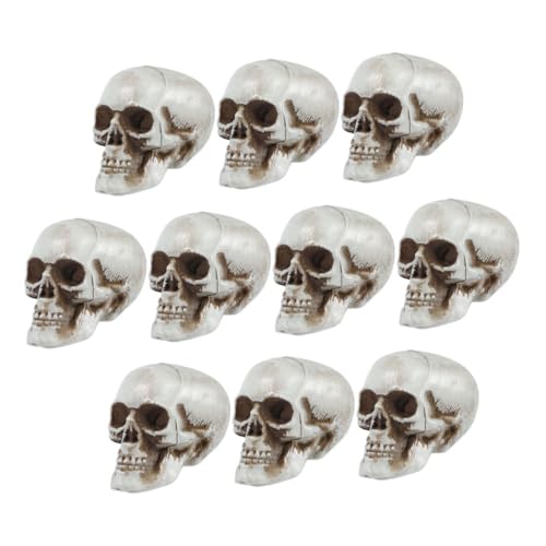 ULTECHNOVO 10 Stück Teiliges Halloween Dekoration mit Realistisch Aussehenden Menschlichen Kunststoff Schädeln Langlebige Gruselige Requisiten für Party Haunted House und Garten Deko von ULTECHNOVO