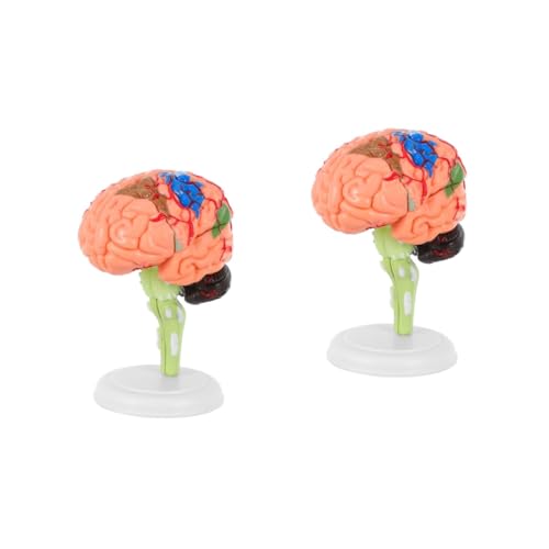 ULTECHNOVO 2 Stk Experimentelle Lehrmedizin Modell Des Menschlichen Gehirns Skelett Molekularer Modellbausatz Körper Torso Organ Wissenschaft Menschliches Schädelmodell Für Die Anatomie Pvc ULTECHNOVO 2 Stk Experimentelle Lehrmedizin Modell Des Menschlichen Gehirns Skelett Molekularer Modellbausatz Körper Torso Organ Wissenschaft Menschliches Schädelmodell Für Die Anatomie Pvc von ULTECHNOVO