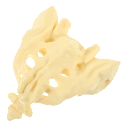 ULTECHNOVO 2 Stk Gesundes Kreuzbein Menschliches Skelettmodell Lendenwirbel-kreuzbein-modell Menschliche Knochen Modell Des Menschlichen Körpers Menschlicher Körper Weiß Lose Knochen Pvc von ULTECHNOVO