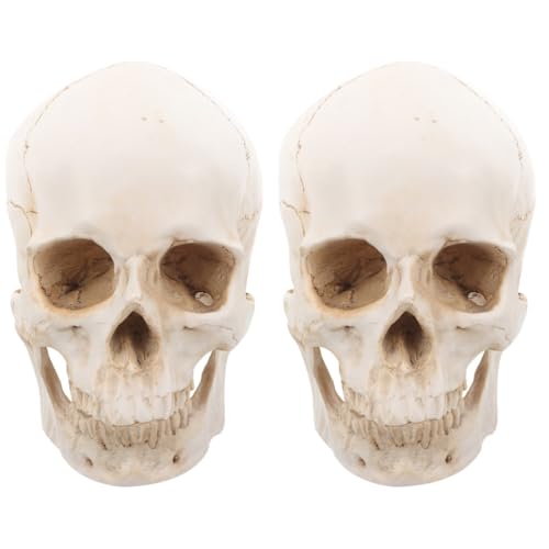ULTECHNOVO 2stücke Medizinisches Schädelmodell Aus Resin Realistisches Abnehmbares Menschliches Kopfmodell Zur Anatomischen Ausbildung Für Ausstellungen Detailgetreu Und Vielseitig ULTECHNOVO 2stücke Medizinisches Schädelmodell Aus Resin Realistisches Abnehmbares Menschliches Kopfmodell Zur Anatomischen Ausbildung Für Ausstellungen Detailgetreu Und Vielseitig von ULTECHNOVO