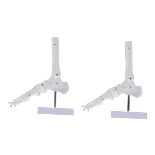 ULTECHNOVO 2st Menschlicher Knöchel Unterricht Einzelrad-schneidemaschine Miniaturen Künstliche Pflanzen Anlage Molekular Modell Körper Skelett Hund Torso Künstliche Farne Hortensie Pvc Weiß ULTECHNOVO 2st Menschlicher Knöchel Unterricht Einzelrad-schneidemaschine Miniaturen Künstliche Pflanzen Anlage Molekular Modell Körper Skelett Hund Torso Künstliche Farne Hortensie Pvc Weiß von ULTECHNOVO