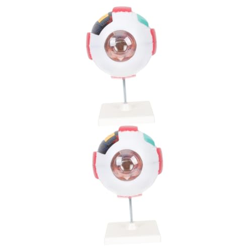 ULTECHNOVO 2st Menschliches Auge Modell Modelle Anatomie Skelettmodell Modell Des Menschlichen Augapfels Augapfel-anatomie-darstellungsmodell Figur Anatomie Schädelmodell Vorbau-kits Pvc ULTECHNOVO 2st Menschliches Auge Modell Modelle Anatomie Skelettmodell Modell Des Menschlichen Augapfels Augapfel-anatomie-darstellungsmodell Figur Anatomie Schädelmodell Vorbau-kits Pvc von ULTECHNOVO