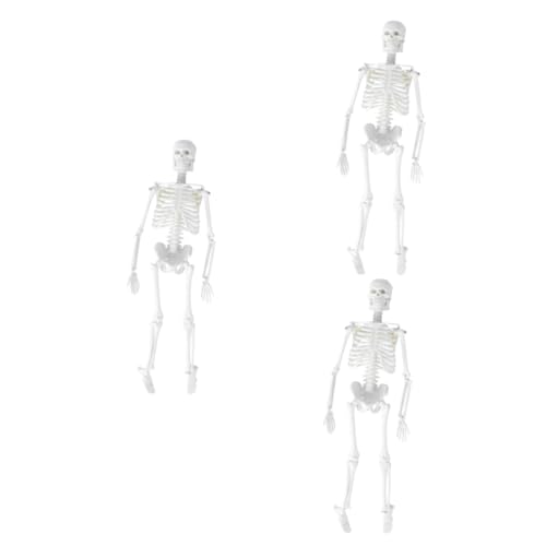 ULTECHNOVO 3st Modelle Menschliches Skelett Modell Des Menschlichen Körpers Für Kinder Statue Des Menschlichen Skeletts Skelett in Voller Größe Anatomiemodell Abnehmbar Schulmaterial von ULTECHNOVO