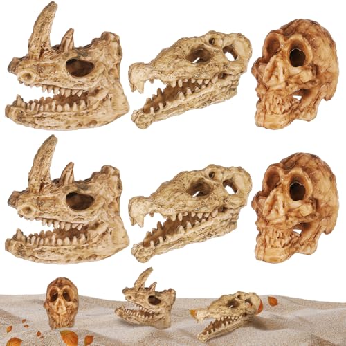 ULTECHNOVO 6 Stück Kleiner Tierschädel Deko aus Kunststoff Realistische Schädelstatue für Aquarium Tischdeko Platzsparend Robust Vielseitig Einsetzbar ULTECHNOVO 6 Stück Kleiner Tierschädel Deko aus Kunststoff Realistische Schädelstatue für Aquarium Tischdeko Platzsparend Robust Vielseitig Einsetzbar von ULTECHNOVO