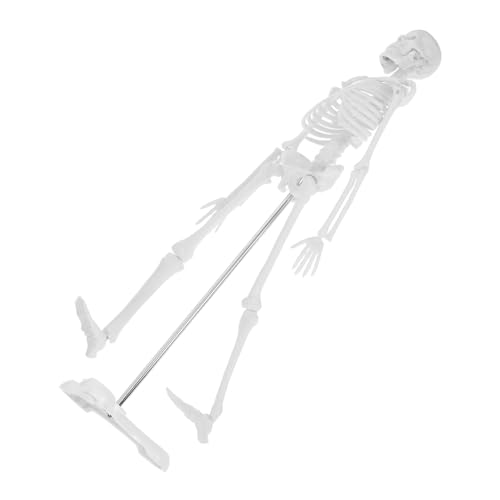 ULTECHNOVO Anatomisches Menschliches Skelettmodell Detailliertes Körpermodell für Anatomieunterricht Vielseitiges und Lehrmittel für Schule Medizin und ULTECHNOVO Anatomisches Menschliches Skelettmodell Detailliertes Körpermodell für Anatomieunterricht Vielseitiges und Lehrmittel für Schule Medizin und von ULTECHNOVO