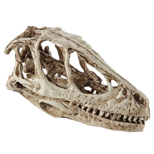 ULTECHNOVO Dinosaurier-schädel-modell Stütze Dinosaurier-skelett Skelett Hund Dinosaurier-raumdekoration Für Jungen Reh Fälschung Puzzle Künstlich Bausatz Plüsch Puppe Weiß Harz ULTECHNOVO Dinosaurier-schädel-modell Stütze Dinosaurier-skelett Skelett Hund Dinosaurier-raumdekoration Für Jungen Reh Fälschung Puzzle Künstlich Bausatz Plüsch Puppe Weiß Harz von ULTECHNOVO