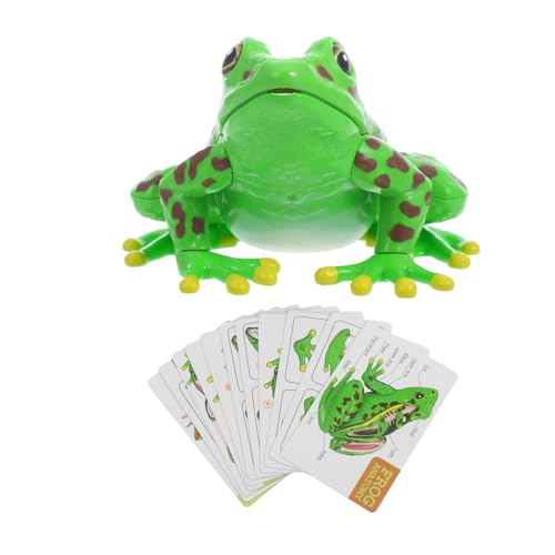 ULTECHNOVO Simulierter Frosch Modell Für Junge Mädchen Abnehmbares Sezierset Mit Realistischen Organen Lehrreiches Spielzeug Für Biologie Unterricht Und Zuhause von ULTECHNOVO