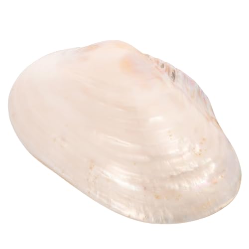 ULTECHNOVO Große Muschelschale Für Landschaftsbau-Dekoration Desktop-schmuck Foto-Prop Natürliche Muschelverzierung ULTECHNOVO Große Muschelschale Für Landschaftsbau-Dekoration Desktop-schmuck Foto-Prop Natürliche Muschelverzierung von ULTECHNOVO