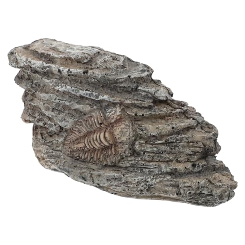 ULTECHNOVO Kleines Leichtes Trilobiten Ornament aus Sicherem Paläontologische Dekoration für Sammlung für Zuhause und Unterricht ULTECHNOVO Kleines Leichtes Trilobiten Ornament aus Sicherem Paläontologische Dekoration für Sammlung für Zuhause und Unterricht von ULTECHNOVO