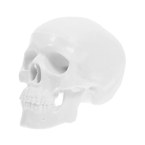ULTECHNOVO Realistischer Menschlicher Schädel – Schädelmodell Für Studienzwecke Und Halloween-dekoration ULTECHNOVO Realistischer Menschlicher Schädel – Schädelmodell Für Studienzwecke Und Halloween-dekoration von ULTECHNOVO