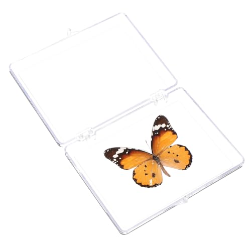ULTECHNOVO Schmetterlings-Exemplar Tischständer Lernspielzeug Ausstellungsregale Kinderspielzeug Musterhandwerk Exemplar zur Schau von Insekten Probe Dekorationen Kunstwerk schmücken Student von ULTECHNOVO