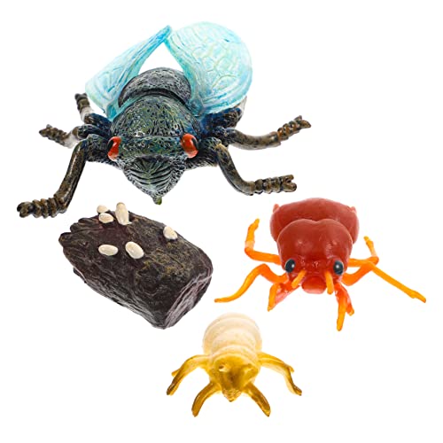 ULTECHNOVO Zikaden Wachstumsmodell Satz aus Kunststoff für Kinder Simulationsspielzeug zur Naturwissenschaftlichen Ausbildung Lebensechtes Ausstellungsmodell und Schulzubehör ULTECHNOVO Zikaden Wachstumsmodell Satz aus Kunststoff für Kinder Simulationsspielzeug zur Naturwissenschaftlichen Ausbildung Lebensechtes Ausstellungsmodell und Schulzubehör von ULTECHNOVO