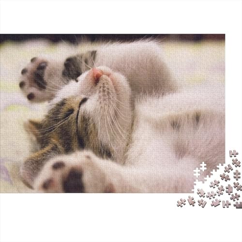Kat Puzzles 1000 Teile Schwer Puzzle Spielzeug Pädagogisches Spiel Impossible Herausforderungsspielzeug Für Erwachsene Und Kinder Ab 14 Jahren 1000pcs (75x50cm) von UNRXJZLVM