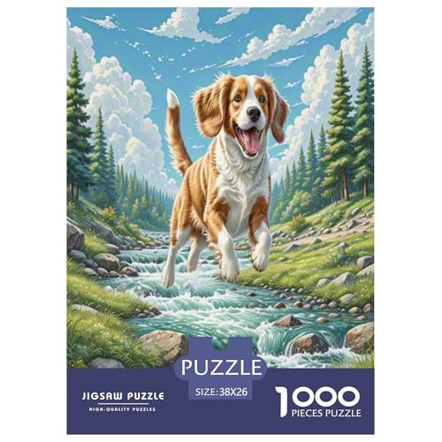 Welischer Springer Spaniel Puzzles 1000 Teile Schwer Puzzle Spielzeug Pädagogisches Spiel Impossible Herausforderungsspielzeug Für Erwachsene Und Kinder Ab 12 Jahren 38x26cm/1000pcs Welischer Springer Spaniel Puzzles 1000 Teile Schwer Puzzle Spielzeug Pädagogisches Spiel Impossible Herausforderungsspielzeug Für Erwachsene Und Kinder Ab 12 Jahren 38x26cm/1000pcs von UNRXJZLVM