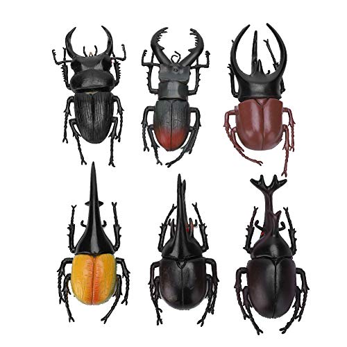 UPALDHOU Gefälschter Käfer, Simuliertes Käfermodell, Käferfiguren für , Bildung, Insekten-Themenparty (6 große Schwarze Käfer) von UPALDHOU