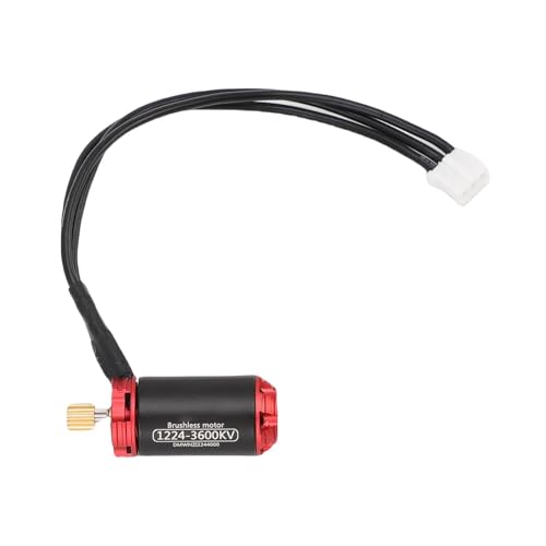UPALDHOU RC Bürstenloser Motor, 1224 3600KV Bürstenloser Outrunner -Motor Austausch für Axiale SCX24 RC 1/18 1/24 Crawler Car RC Pinseler Motor Ph3.0 Weißer Stecker UPALDHOU RC Bürstenloser Motor, 1224 3600KV Bürstenloser Outrunner -Motor Austausch für Axiale SCX24 RC 1/18 1/24 Crawler Car RC Pinseler Motor Ph3.0 Weißer Stecker von UPALDHOU