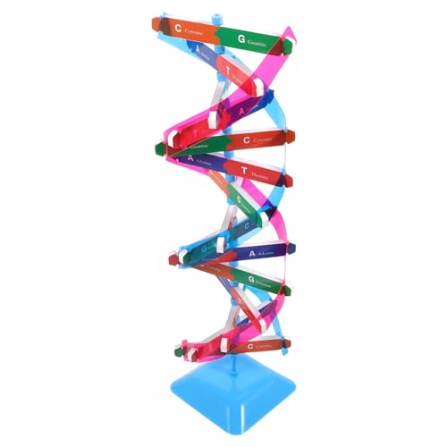 UPKOCH 1 Satz DNA-Modell Science Toys Wissenschaftliches molekular Gehirnmodell prüfen Werkzeug schaufensterpuppe Unterrichtshilfen für den Unterricht Wissenschaftsmodell Metall von UPKOCH