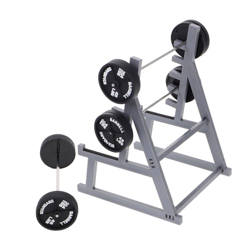 UPKOCH 1 Set Miniatur-fitnessgeräte Für Puppenhaus Squat Rack Stiftaufbewahrungshalter Langhantelständer Büro Schreibtisch UPKOCH 1 Set Miniatur-fitnessgeräte Für Puppenhaus Squat Rack Stiftaufbewahrungshalter Langhantelständer Büro Schreibtisch von UPKOCH
