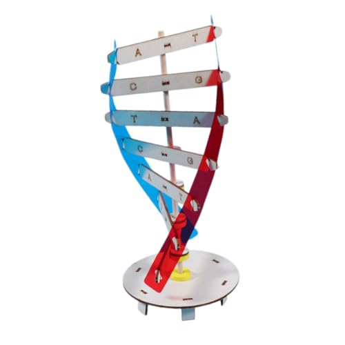 UPKOCH 1 Satz Genmodell lernspielzeug Science Toys Biowissenschaften - Doppelhelix DNA-Modell wissenschaftliches Doppelhelix-Modell DNA-Lehrmittel Holz Colorful UPKOCH 1 Satz Genmodell lernspielzeug Science Toys Biowissenschaften - Doppelhelix DNA-Modell wissenschaftliches Doppelhelix-Modell DNA-Lehrmittel Holz Colorful von UPKOCH