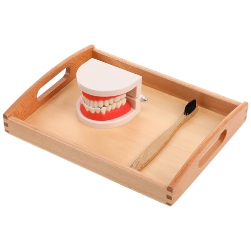 UPKOCH 1 Satz Holzspielzeug Zahnpflege Set für Lernspielzeug mit Holztablett Fördert Frühzeitige Zahnhygiene und Gute Gewohnheiten Formen für Geeignet Ab Jahren Zufällige Zufällige Farbe UPKOCH 1 Satz Holzspielzeug Zahnpflege Set für Lernspielzeug mit Holztablett Fördert Frühzeitige Zahnhygiene und Gute Gewohnheiten Formen für Geeignet Ab Jahren Zufällige Zufällige Farbe von UPKOCH