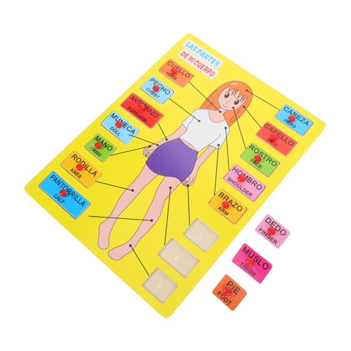 UPKOCH 1 Satz Lehrmittel für die Kindheit Körper lehrreich Rätsel Kleinkinder Kindererkennungsspielzeug Lernspielzeug menschliches kognitives Werkzeug kognitives Holz UPKOCH 1 Satz Lehrmittel für die Kindheit Körper lehrreich Rätsel Kleinkinder Kindererkennungsspielzeug Lernspielzeug menschliches kognitives Werkzeug kognitives Holz von UPKOCH