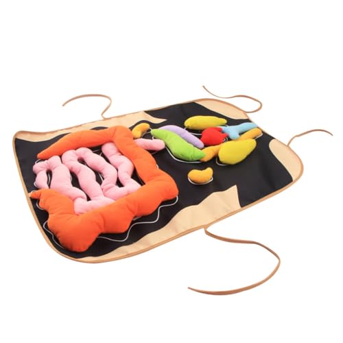 UPKOCH 1 Satz Orgelspielzeug Schnellbauschrauben Verschluss Aquarium Ornamente Klein Schlüsselanhänger, Pulloverkette Fix Tür 3D-anatomie-schürze Karikatur Leistung Trimmen Twill-Stoff UPKOCH 1 Satz Orgelspielzeug Schnellbauschrauben Verschluss Aquarium Ornamente Klein Schlüsselanhänger, Pulloverkette Fix Tür 3D-anatomie-schürze Karikatur Leistung Trimmen Twill-Stoff von UPKOCH