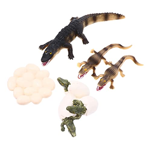 UPKOCH Realistisches Wachstumszyklus-spielzeugset Für Jungen Und Mädchen - Und Meerestier-spielfiguren Mini-meerestierfiguren Desktop-Ornament Pädagogisches Lernspielzeug UPKOCH Realistisches Wachstumszyklus-spielzeugset Für Jungen Und Mädchen - Und Meerestier-spielfiguren Mini-meerestierfiguren Desktop-Ornament Pädagogisches Lernspielzeug von UPKOCH