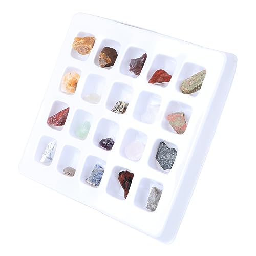 UPKOCH 1 Schachtel Erz Proben Interaktives Für Naturwissenschaftliches Lernangebot Lehrmittel Für Naturwissenschaftliches Erkundungsset Naturstein Mineralien von UPKOCH