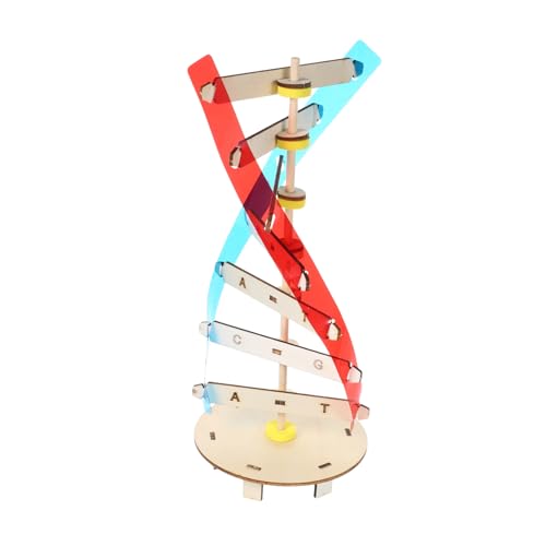 UPKOCH 1 Set DIY Doppelhelix Menschliches Doppelhelix Spielzeug Kinder Lernspielzeug von UPKOCH