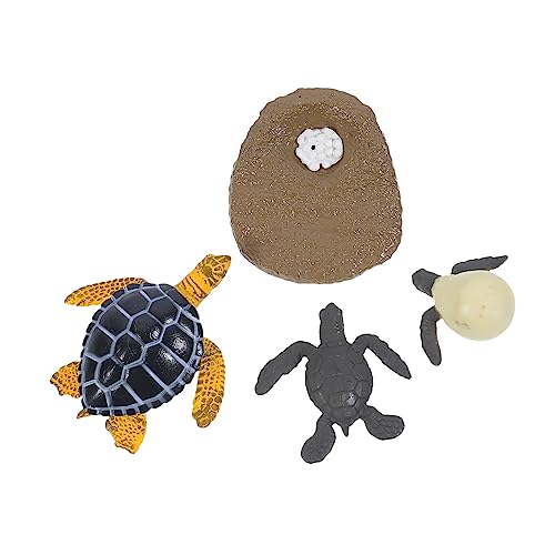 UPKOCH 1 Set Kinderspielzeug Zyklus Lernspielzeug Kognitives Für Schildkröten Wachstumszyklus Tiere Lebenszyklus Figuren Kunststoff UPKOCH 1 Set Kinderspielzeug Zyklus Lernspielzeug Kognitives Für Schildkröten Wachstumszyklus Tiere Lebenszyklus Figuren Kunststoff von UPKOCH
