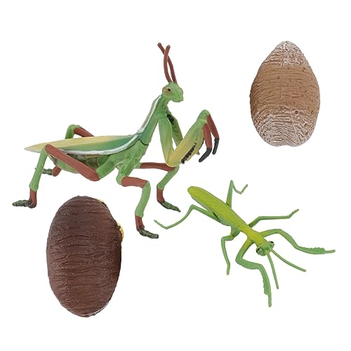 UPKOCH 1 Set Wachstumszyklus Kinderspielzeug Simuliertes Tiermodell Mantis Modell Lernspielzeug Lernspielzeug Tiere Figur Tierfigur PVC von UPKOCH