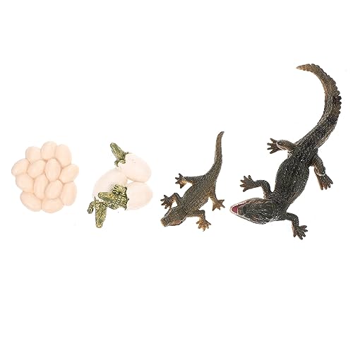 UPKOCH 1 Set Wachstumszyklus Modell Modelle Das Tier Tiere Wachstumszyklus Figur Lebenszyklus Figur des Realistischen Lebenszyklus Modells Lernspielzeug Kinderspielzeug Kunststoff UPKOCH 1 Set Wachstumszyklus Modell Modelle Das Tier Tiere Wachstumszyklus Figur Lebenszyklus Figur des Realistischen Lebenszyklus Modells Lernspielzeug Kinderspielzeug Kunststoff von UPKOCH