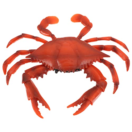 UPKOCH 1 Stück Simuliertes Krabbenmodell Realistisches Meereslebewesen für Interaktives Lernspielzeug Fantasie und Kreativität UPKOCH 1 Stück Simuliertes Krabbenmodell Realistisches Meereslebewesen für Interaktives Lernspielzeug Fantasie und Kreativität von UPKOCH