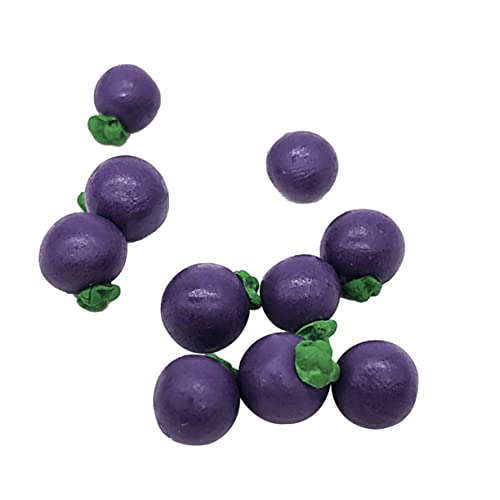 UPKOCH Lebensechte Mini-Mangostan-spielzeuge 10er-Pack Perfekt Für Kinderspielsets Die Küche Und Als Gastgeschenk Für Geburtstagspartys von UPKOCH