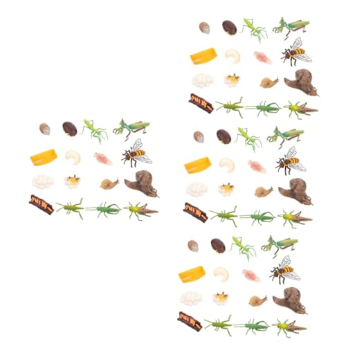 UPKOCH 16 Sätze Insektenmodell Lebenszyklus Von Insektenfiguren Minitiere Tierische Wachstumszyklusfiguren Miniaturen Miniaturfiguren Wachstumszyklus Von Insekten Plastik Biene Einstellen von UPKOCH