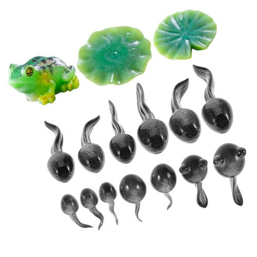 UPKOCH 16Stücke Froschfiguren aus Kunstharz Grüne Frosch Dekorationen für DIY Terrarien Mooslandschaftszubehör Kreative Gartenornamente und Feengarten Accessoires UPKOCH 16Stücke Froschfiguren aus Kunstharz Grüne Frosch Dekorationen für DIY Terrarien Mooslandschaftszubehör Kreative Gartenornamente und Feengarten Accessoires von UPKOCH
