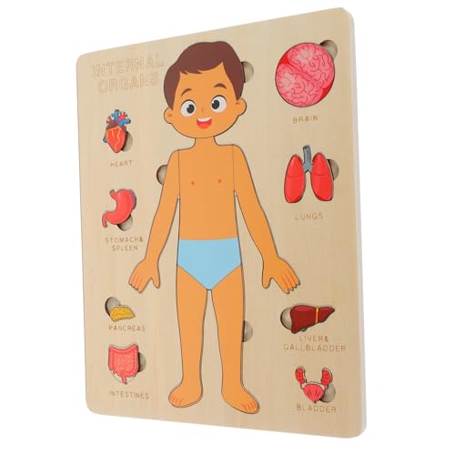 UPKOCH 1Satz Puzzle Holzkörper Lernspielzeug für Kognitive Entwicklung Hand Augen Koordination und Verständnis der Menschlichen Körperstruktur UPKOCH 1Satz Puzzle Holzkörper Lernspielzeug für Kognitive Entwicklung Hand Augen Koordination und Verständnis der Menschlichen Körperstruktur von UPKOCH